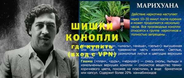 мяу мяу мука Пролетарск