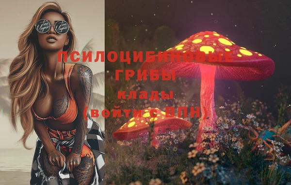 каннабис Елизово