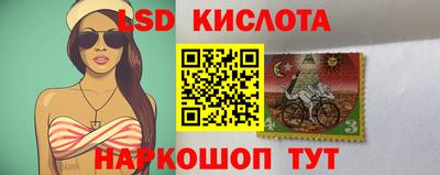 альфа пвп Аргун