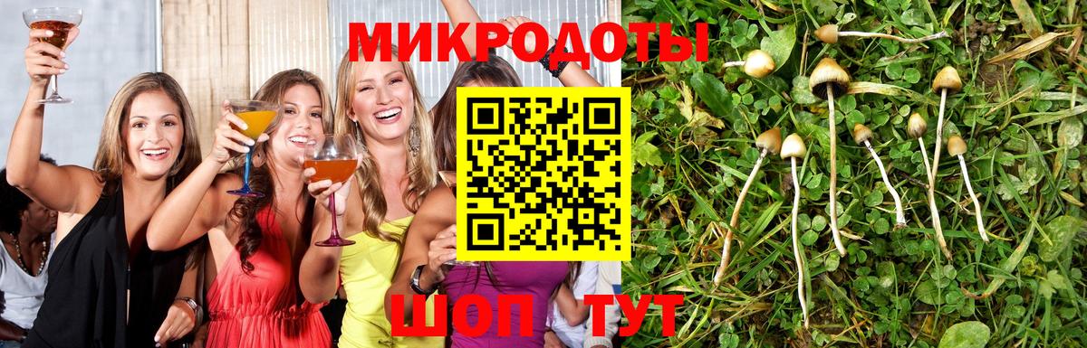 Псилоцибиновые грибы мицелий  Псилоцибиновые грибы Psilocybe  Вход с VPN  Рузаевка 