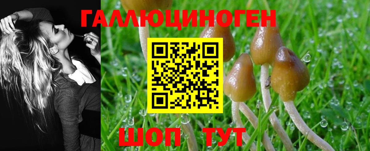 Псилоцибиновые грибы MAGIC MUSHROOMS  Псилоцибиновые грибы ЛСД  Рузаевка 