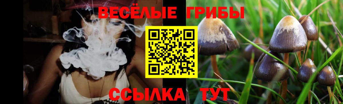 Галлюциногенные грибы Cubensis Рузаевка