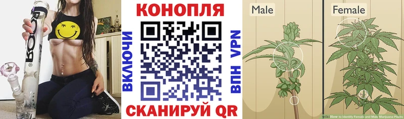 Марихуана индика Рузаевка